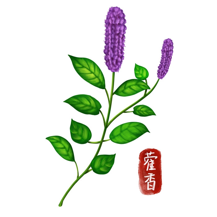 手绘百草植物免抠元素素材5