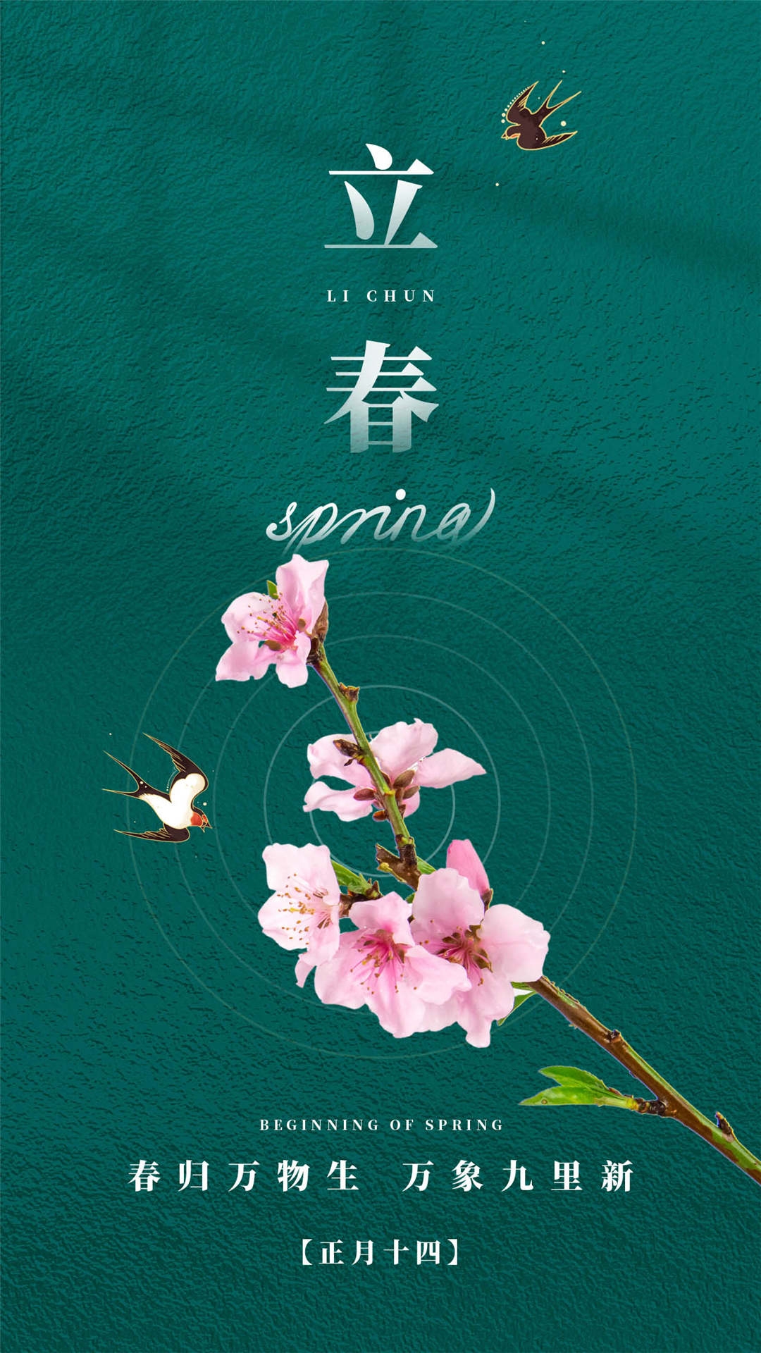 简约创意中国传统节日二十四节气立春海报设计素材49