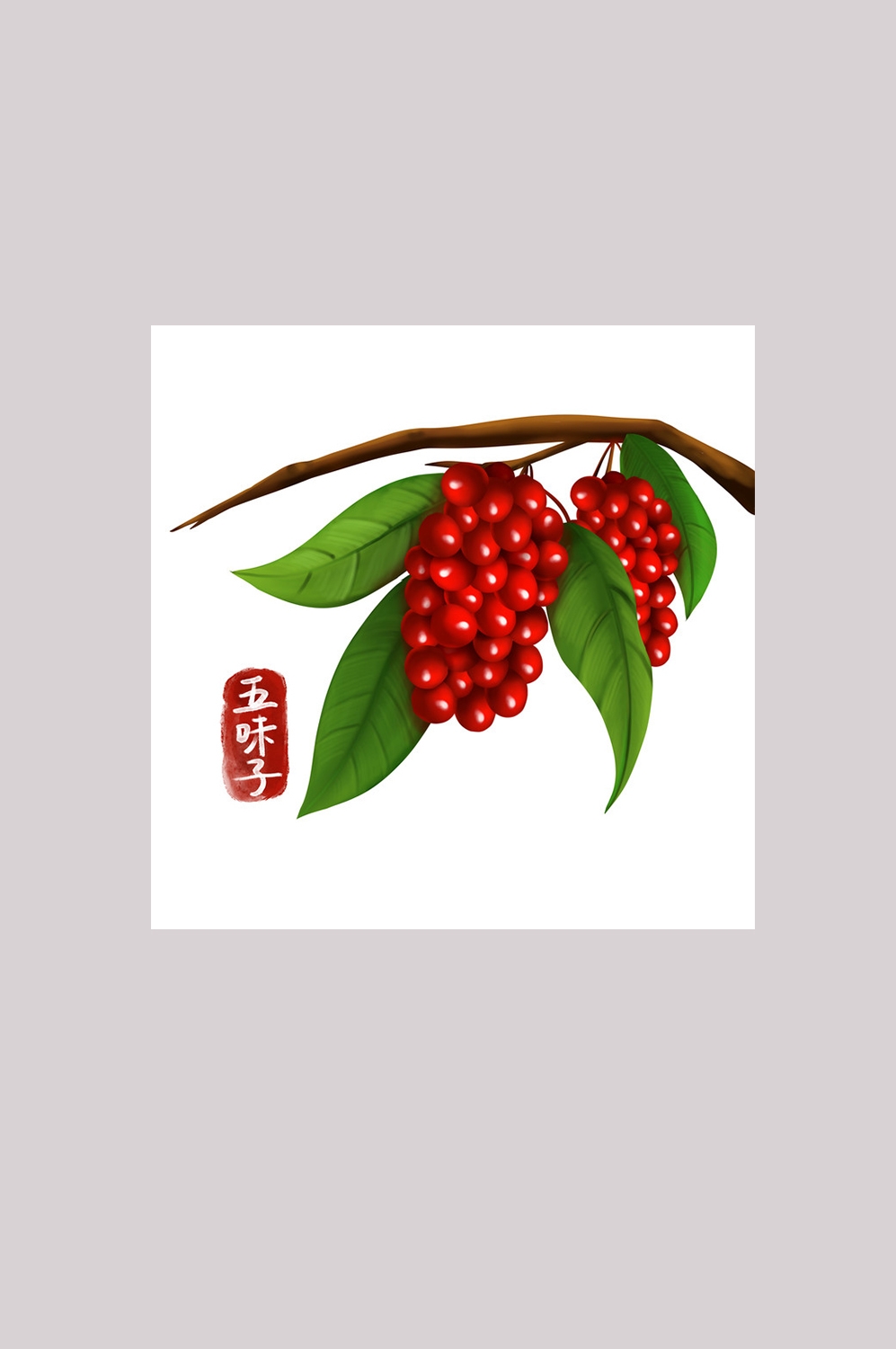 手绘百草植物免抠元素素材28