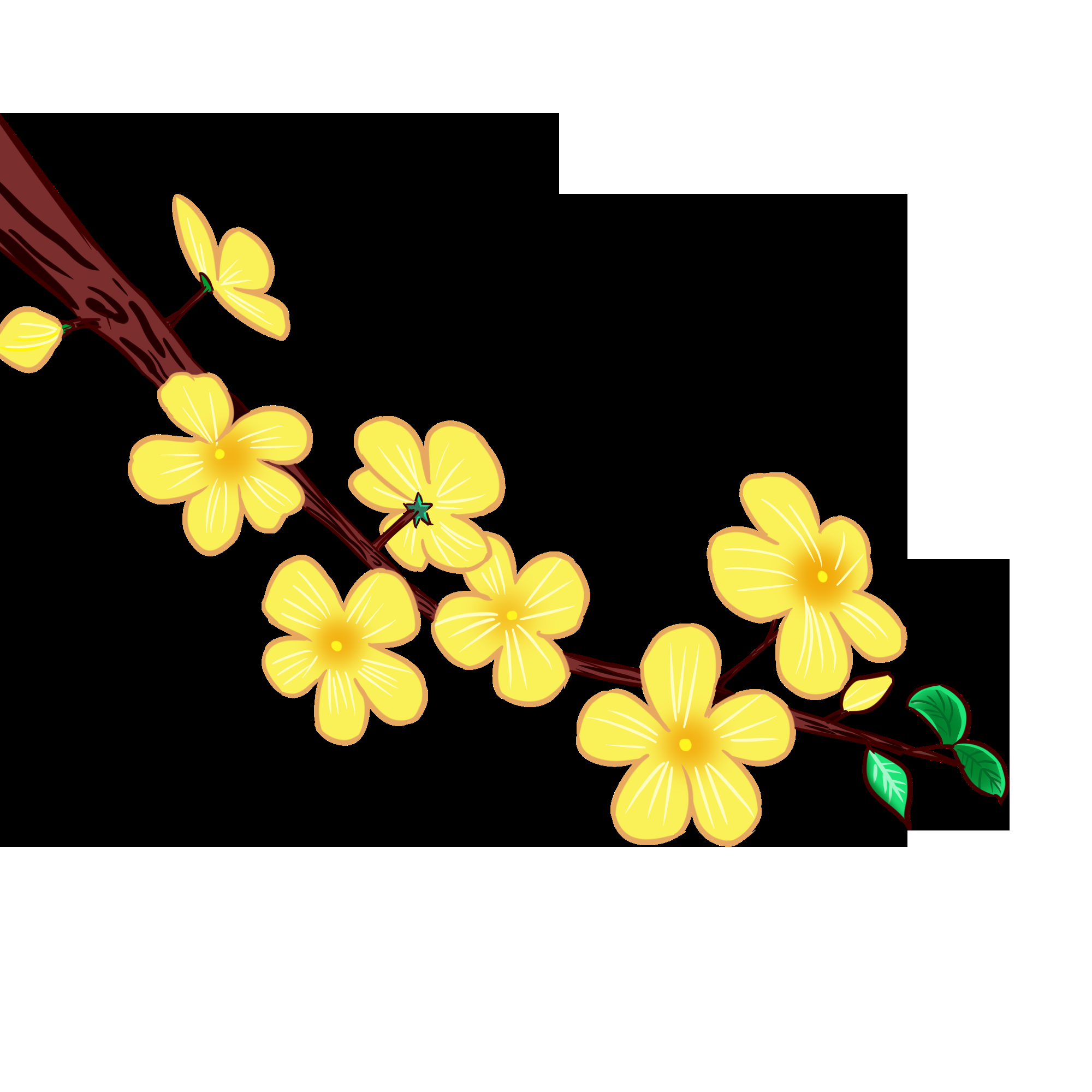 迎春花免抠元素35