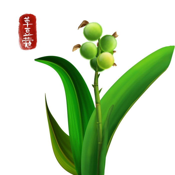 手绘百草植物免抠元素素材65