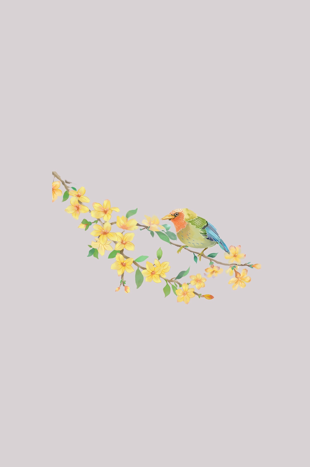 迎春花免抠元素29