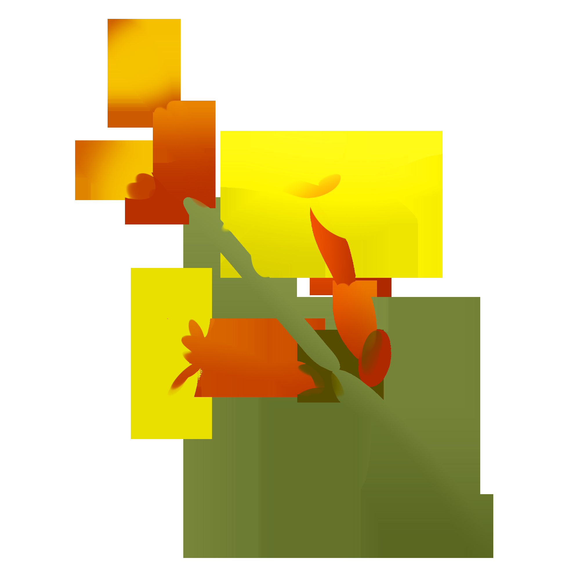 迎春花免抠元素8