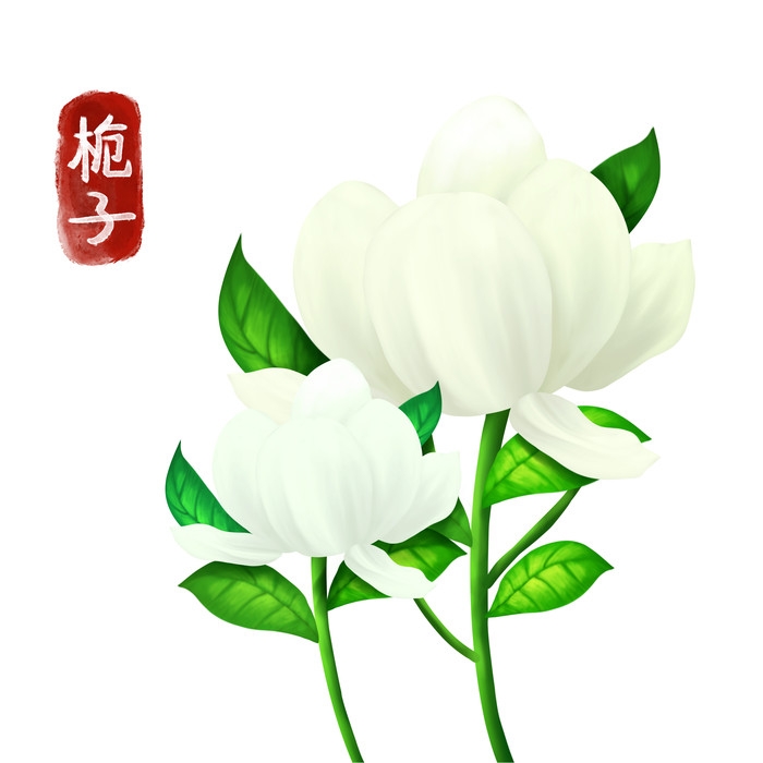 手绘百草植物免抠元素素材82