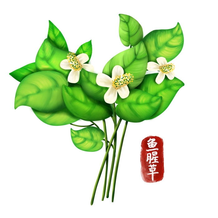 手绘百草植物免抠元素素材9