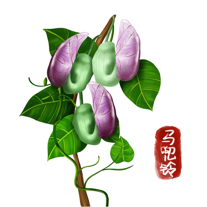 手绘百草植物免抠元素素材70