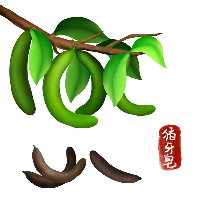手绘百草植物免抠元素素材69