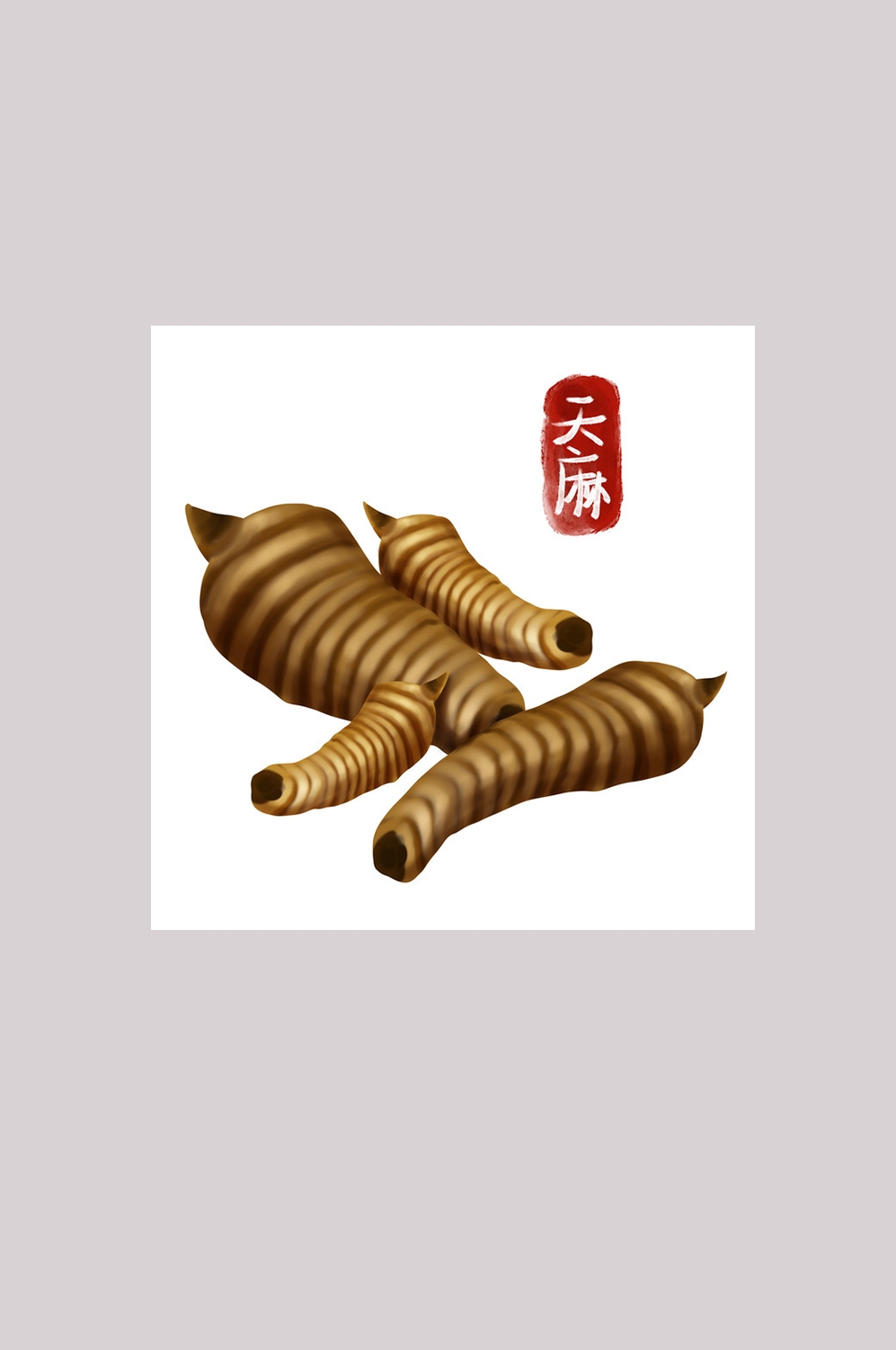 手绘百草植物免抠元素素材39