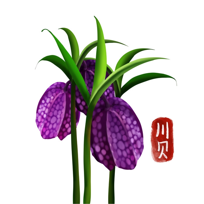 手绘百草植物免抠元素素材32