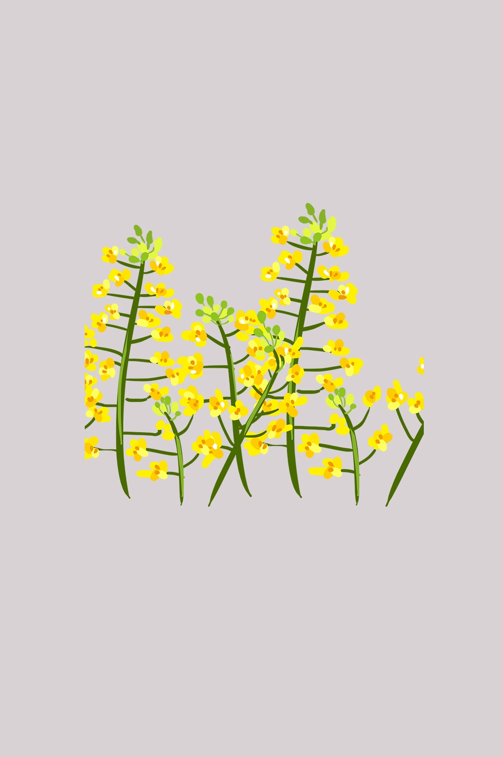迎春花免抠元素33