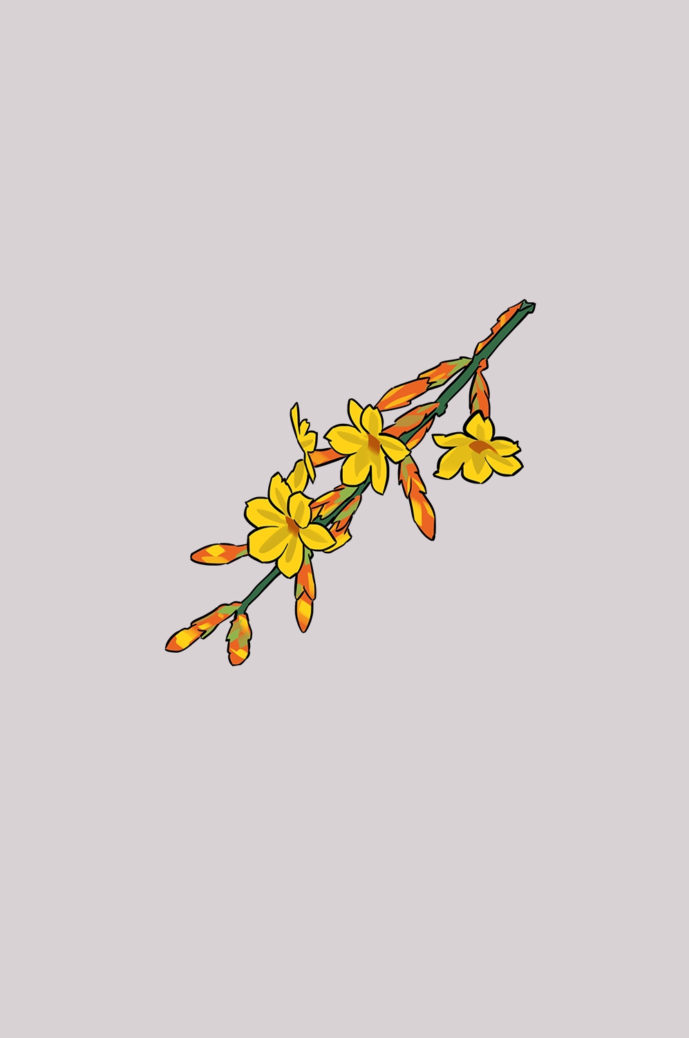 迎春花免抠元素41