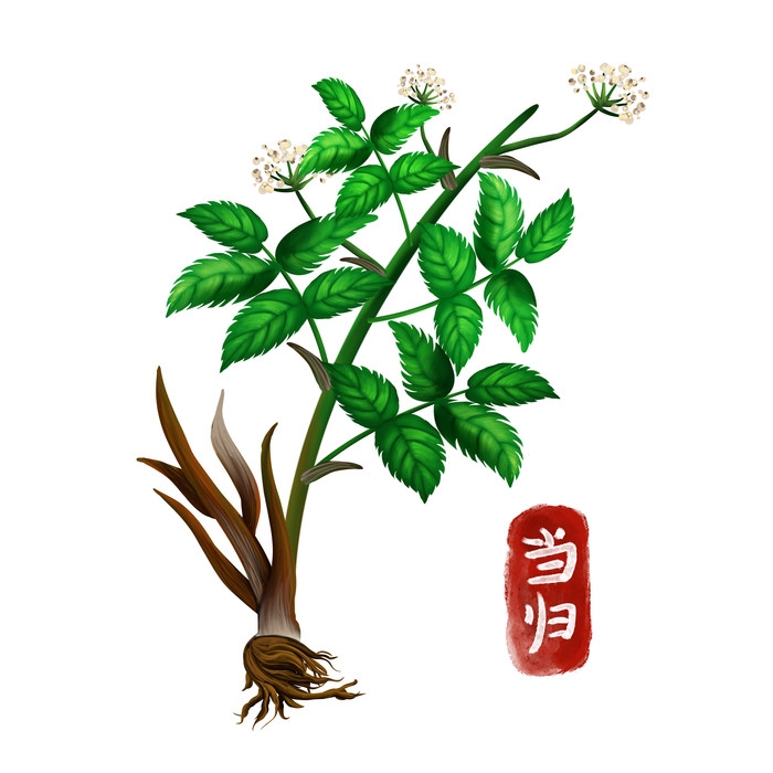 手绘百草植物免抠元素素材35