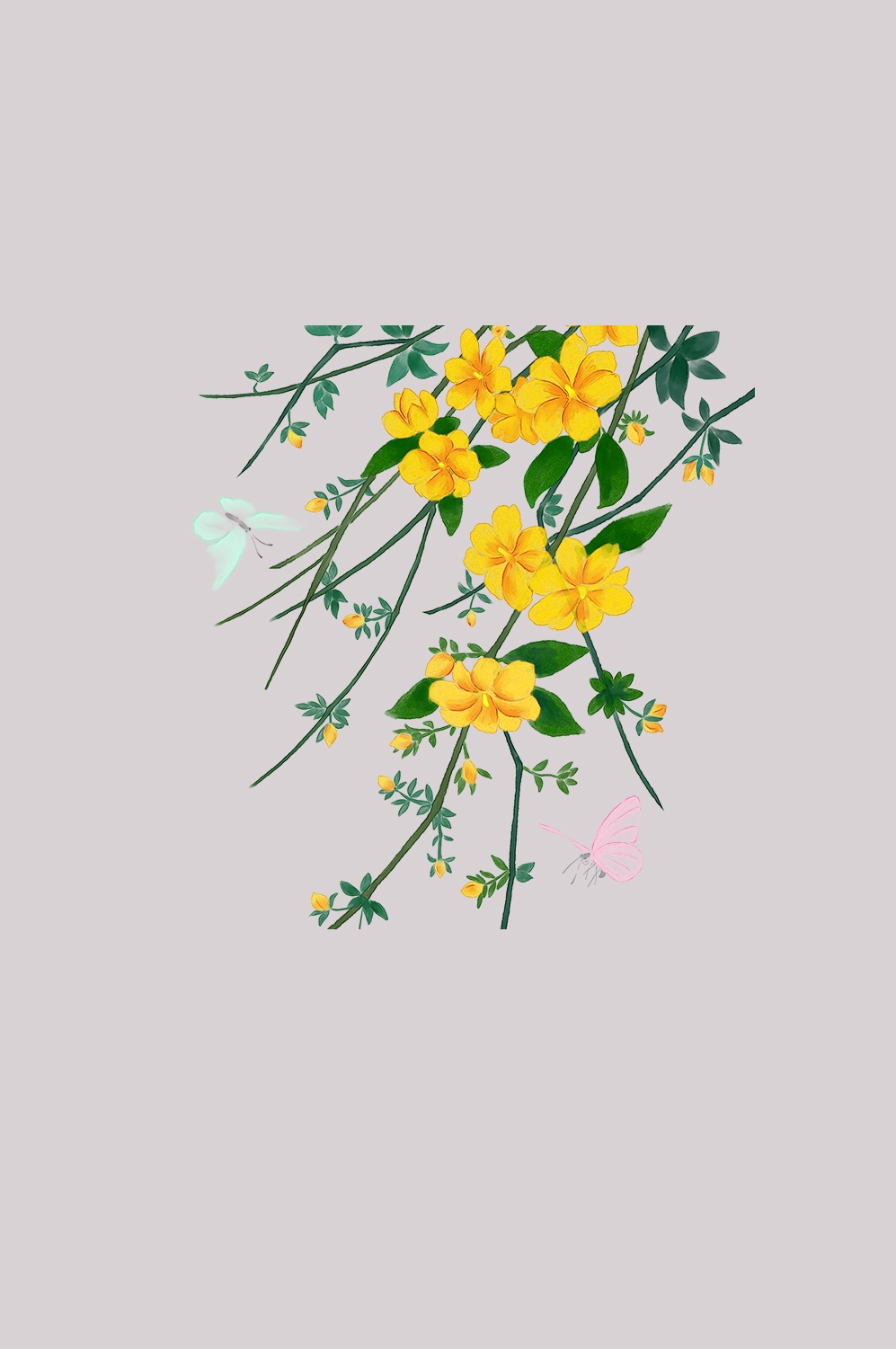 迎春花免抠元素27