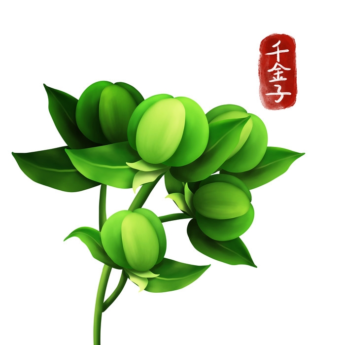 手绘百草植物免抠元素素材49