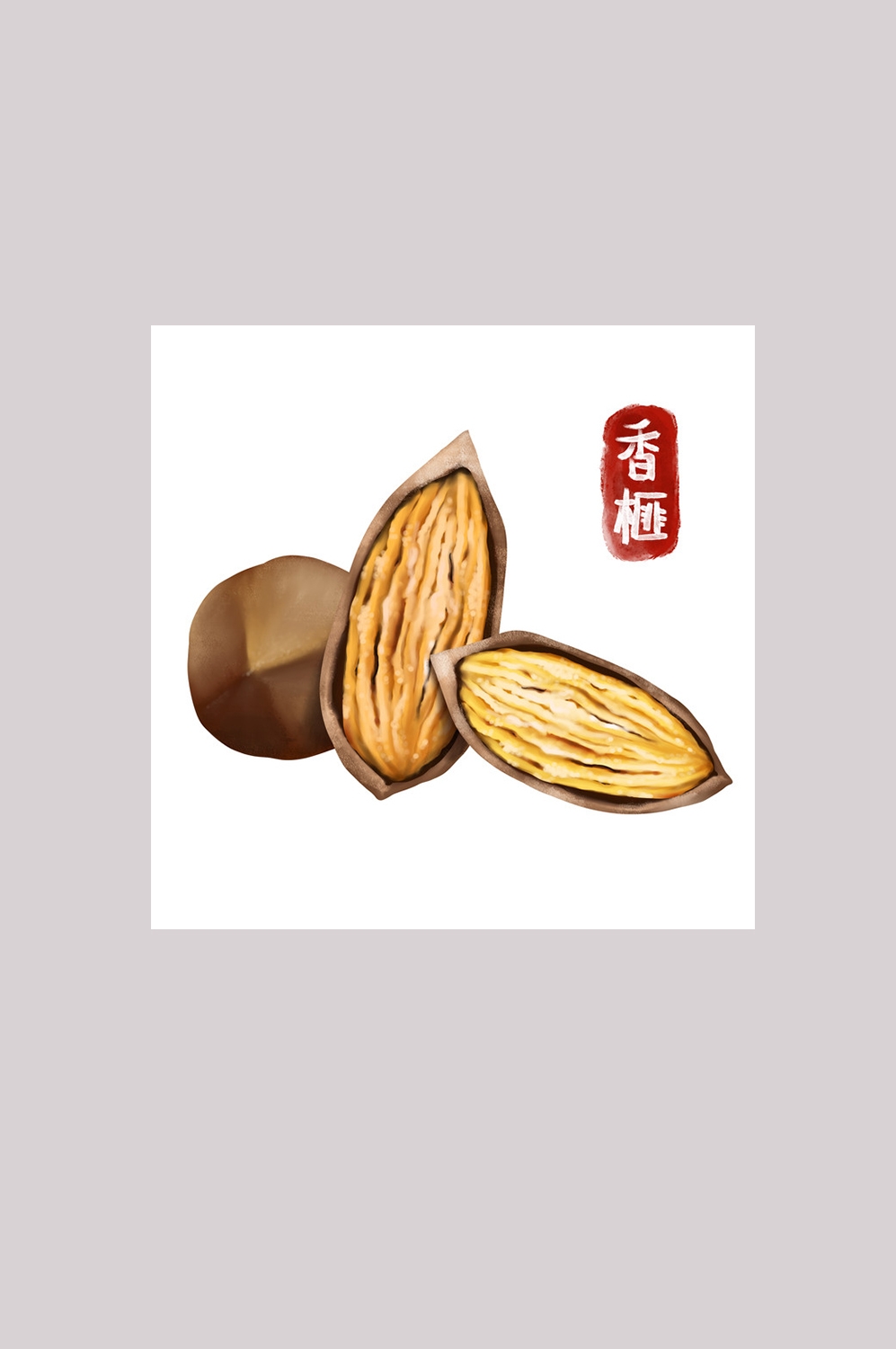 手绘百草植物免抠元素素材93