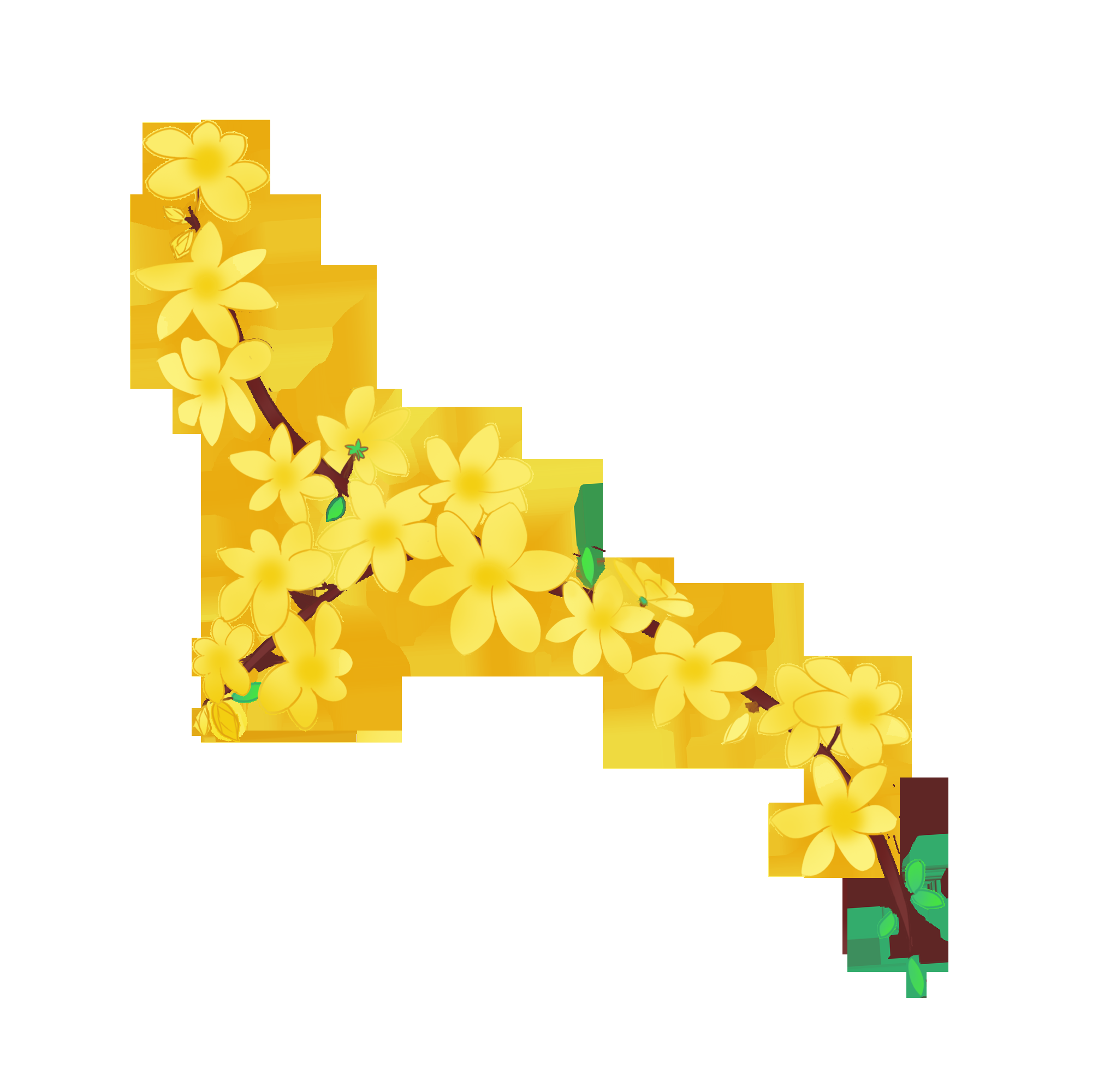 迎春花免抠元素22