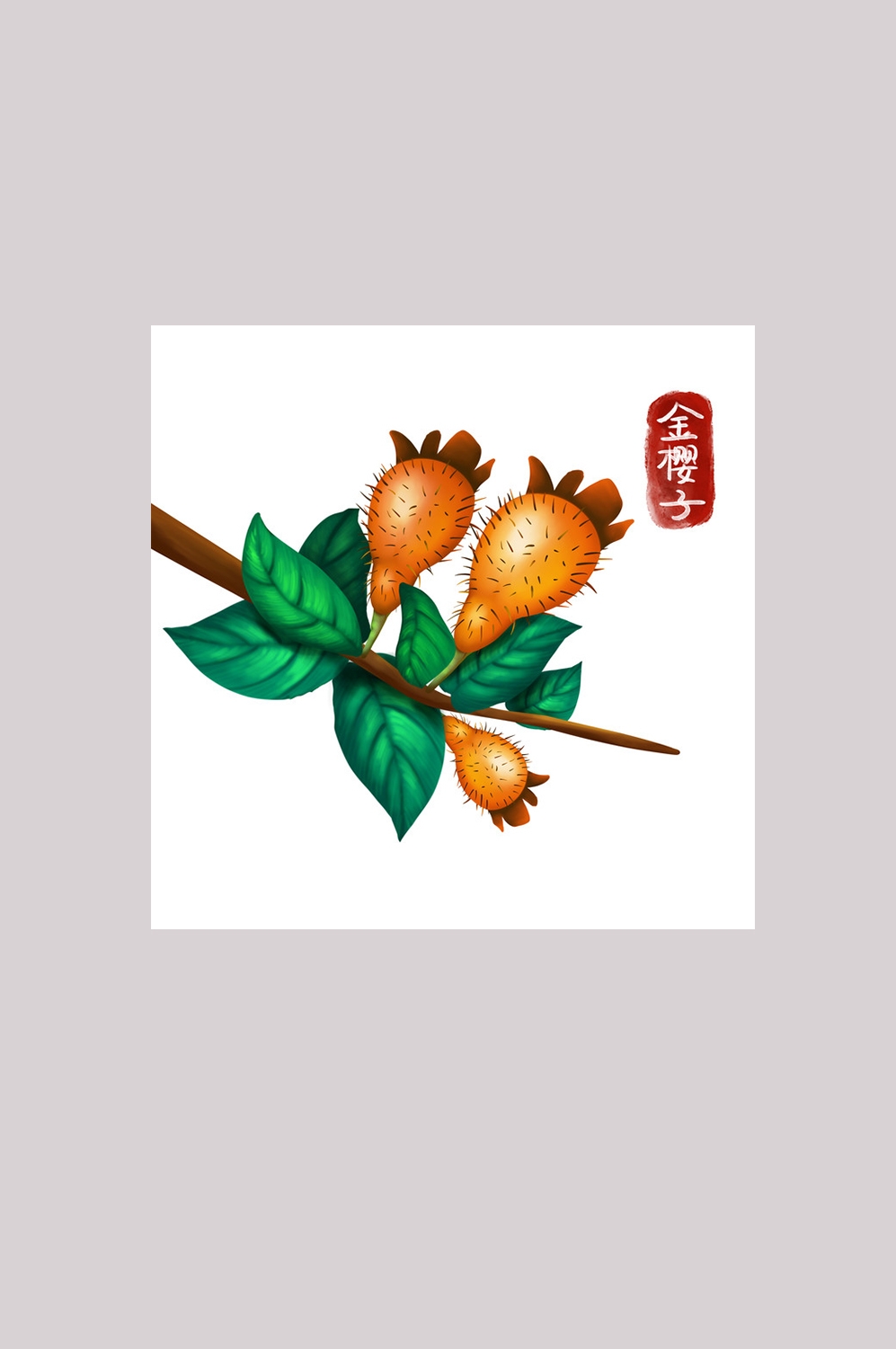 手绘百草植物免抠元素素材68