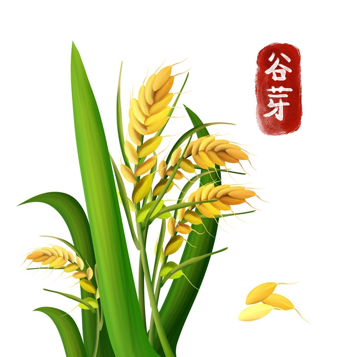 手绘百草植物免抠元素素材92