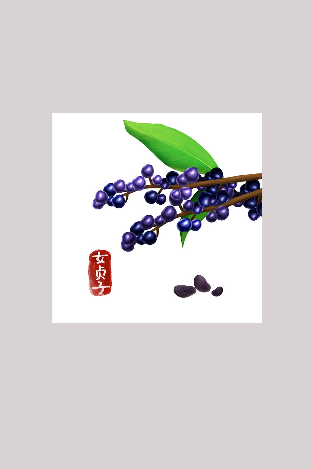 手绘百草植物免抠元素素材58