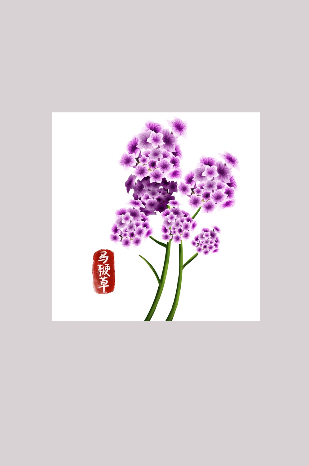 手绘百草植物免抠元素素材17