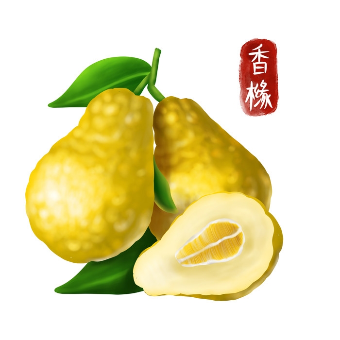手绘百草植物免抠元素素材66