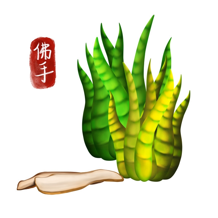 手绘百草植物免抠元素素材47