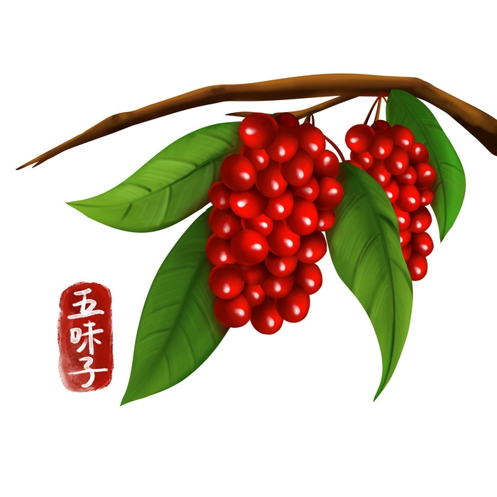 手绘百草植物免抠元素素材28