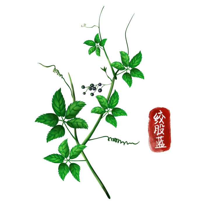 手绘百草植物免抠元素素材16