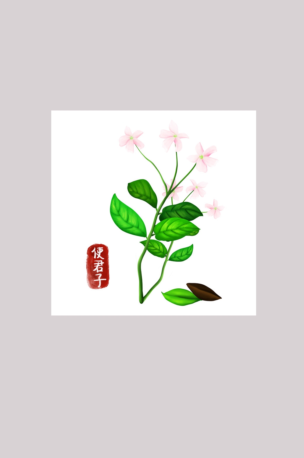 手绘百草植物免抠元素素材59