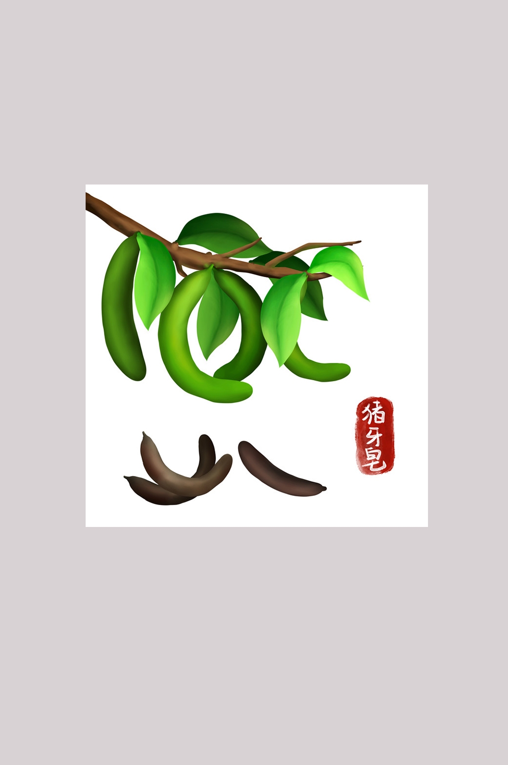 手绘百草植物免抠元素素材69