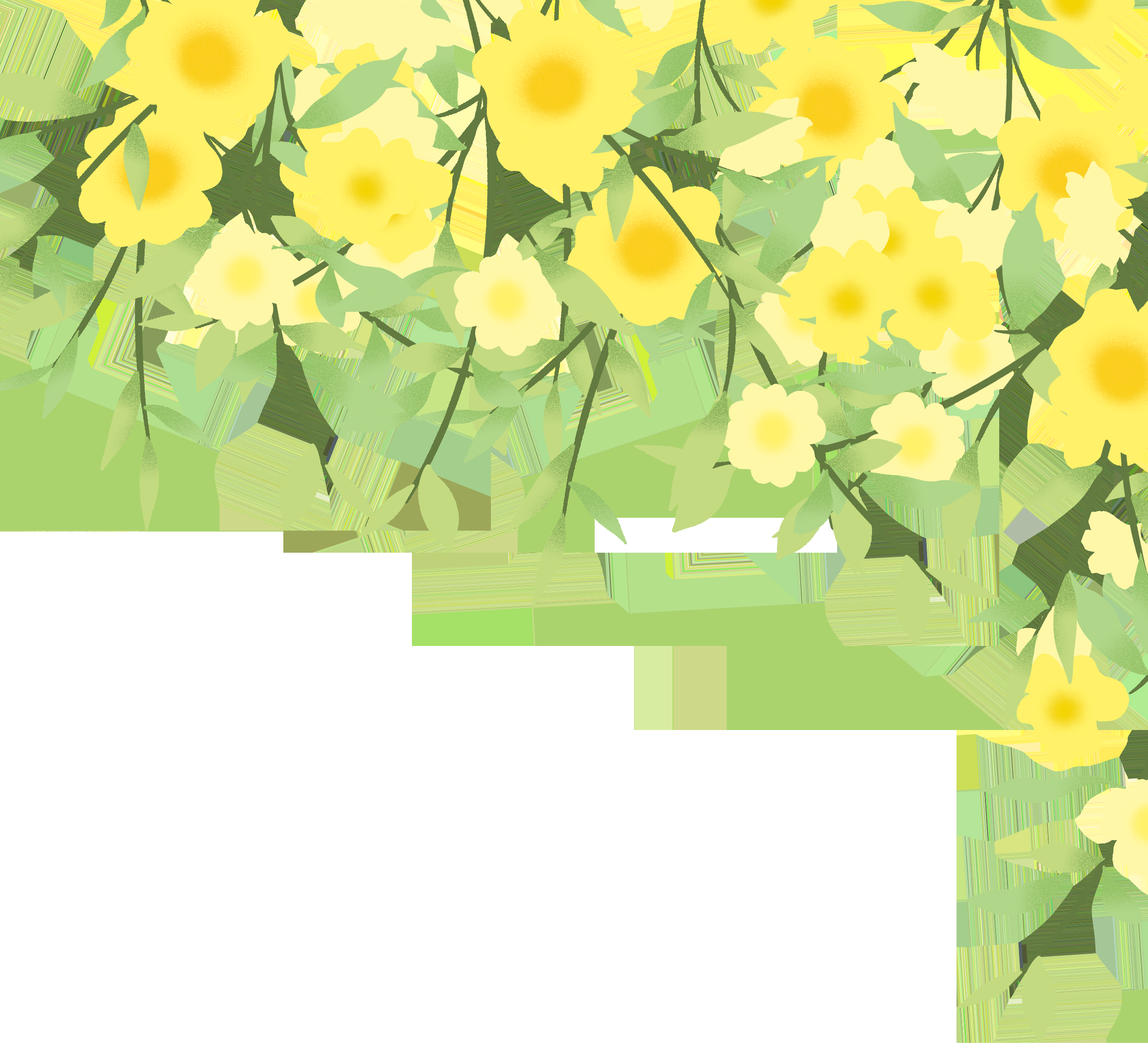 迎春花免抠元素19