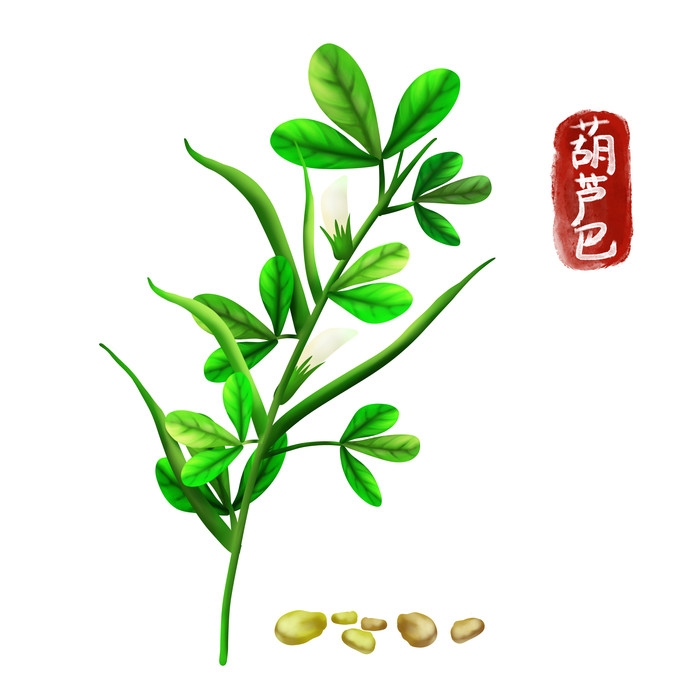 手绘百草植物免抠元素素材80