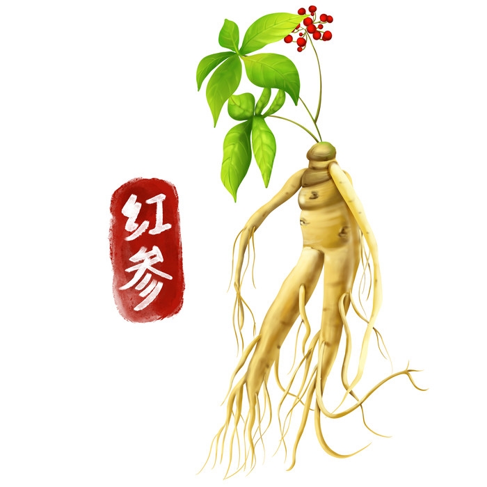 手绘百草植物免抠元素素材1