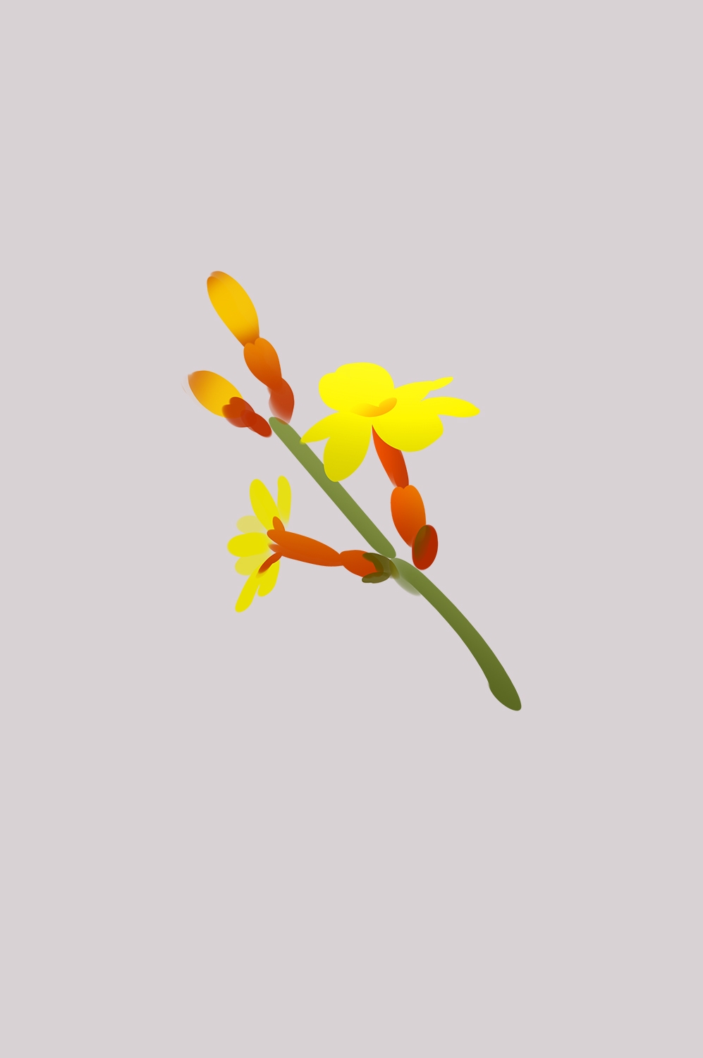 迎春花免抠元素8