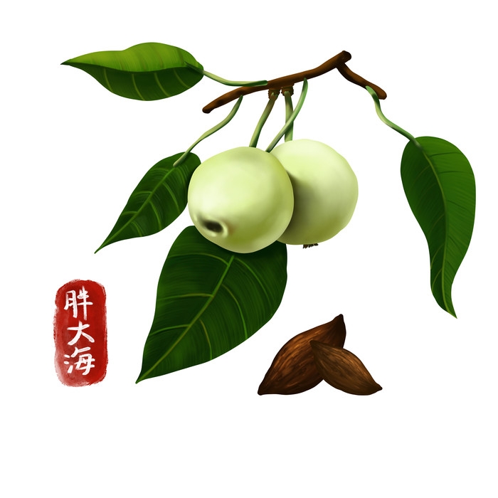 手绘百草植物免抠元素素材12