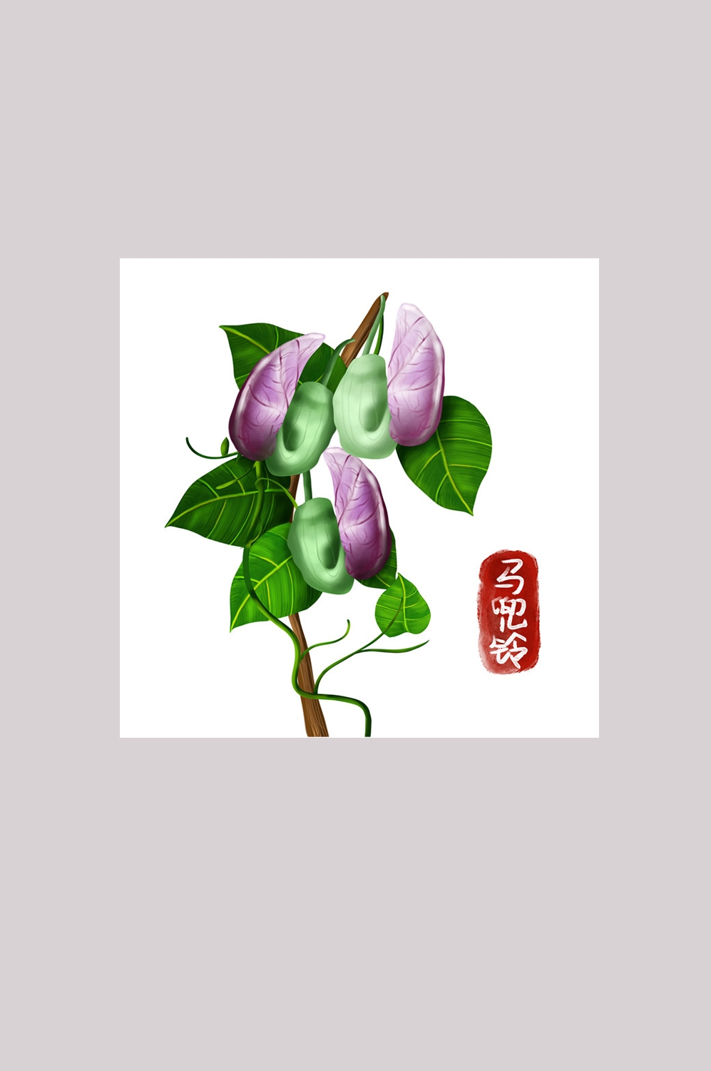 手绘百草植物免抠元素素材70