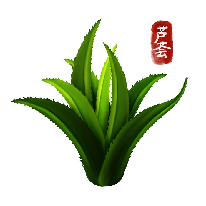 手绘百草植物免抠元素素材20