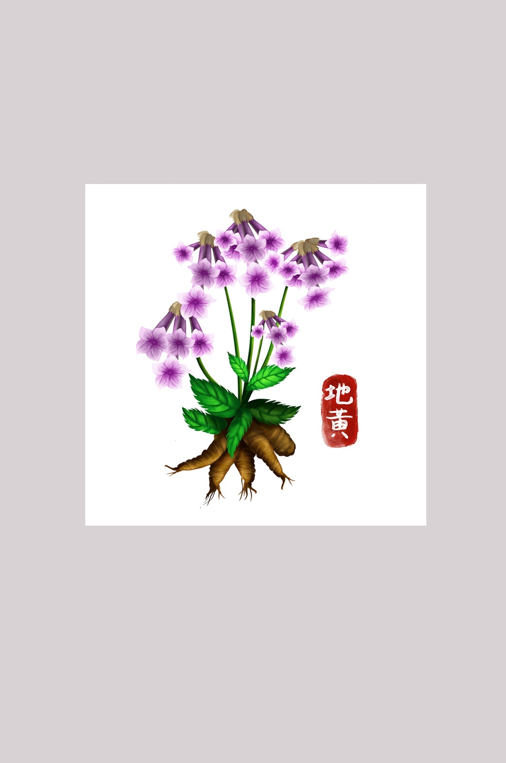 手绘百草植物免抠元素素材41