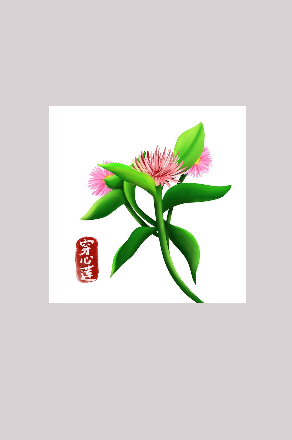 手绘百草植物免抠元素素材42