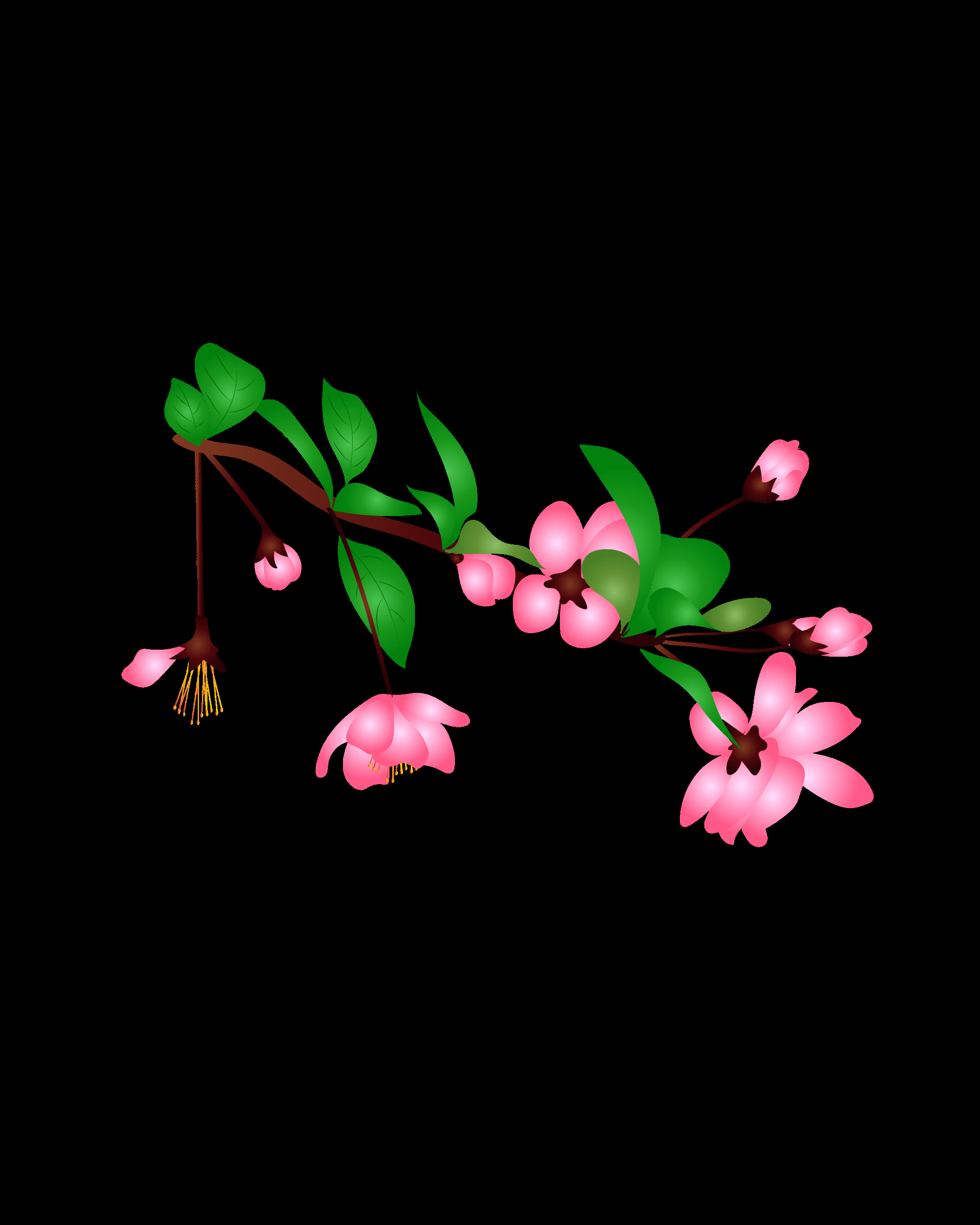 海棠花免抠元素装饰图案插画43