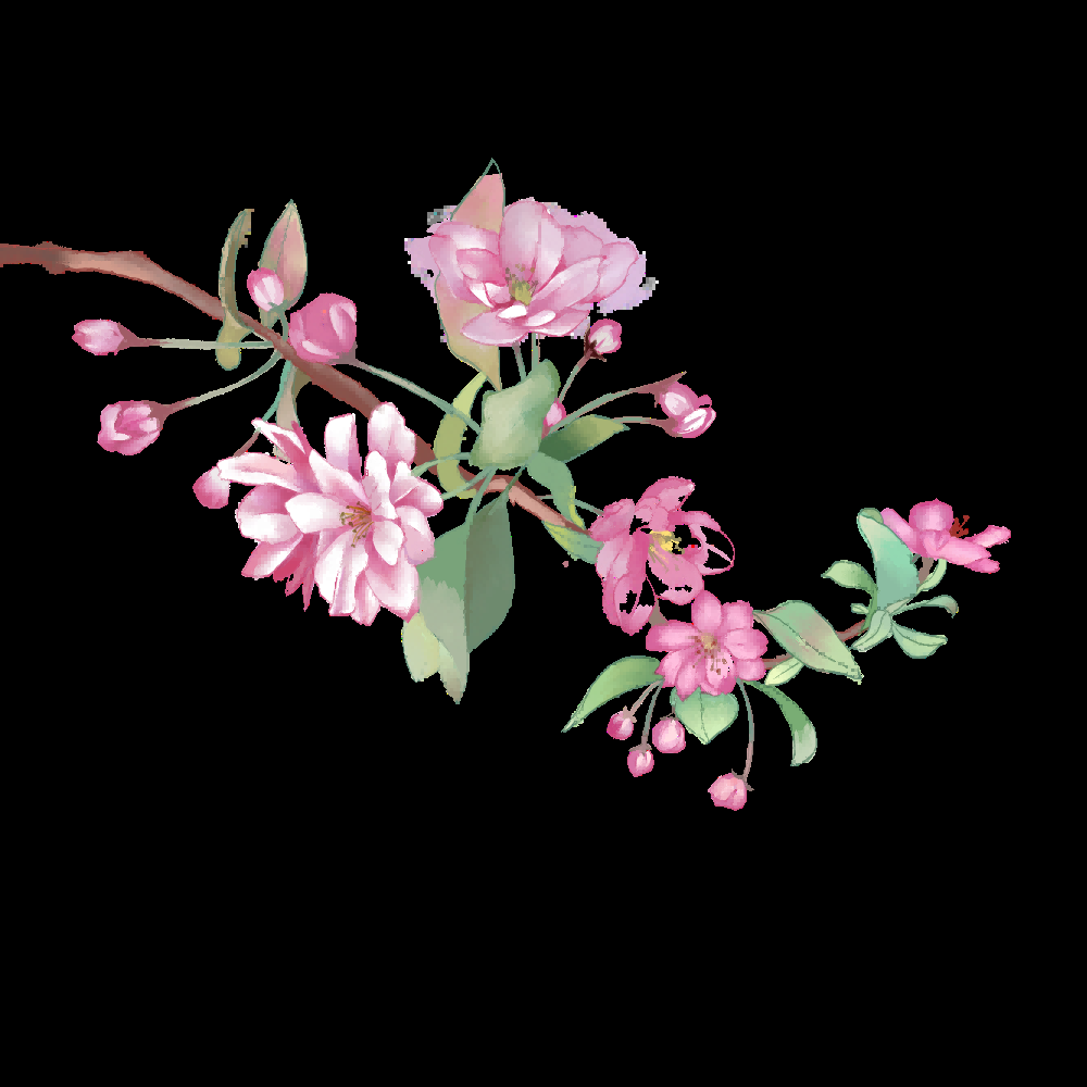 海棠花免抠元素装饰图案插画12