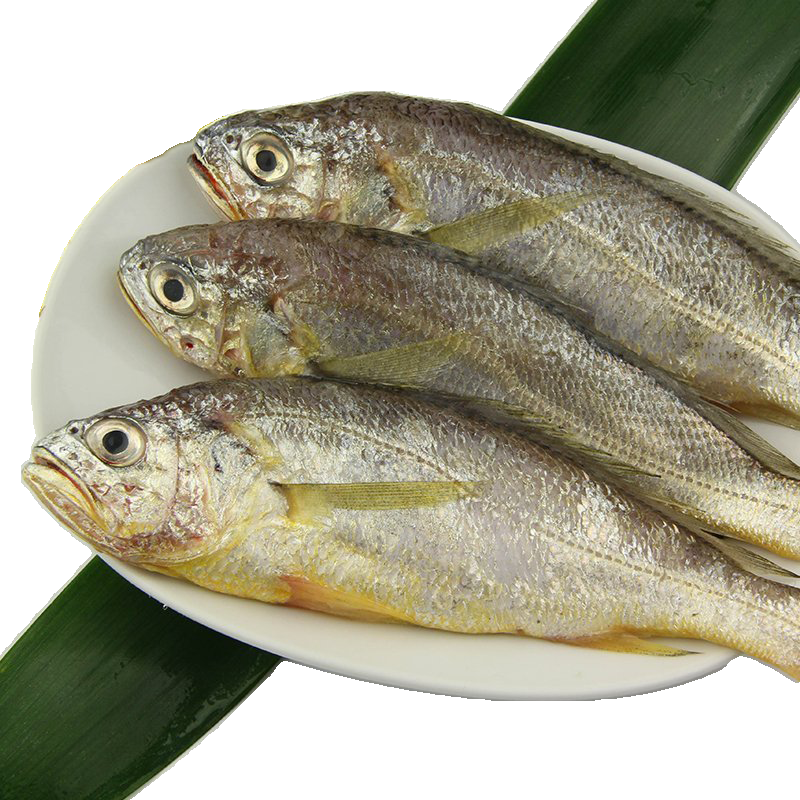 海鲜食材带鱼黄鱼素材图片元素插图免抠37