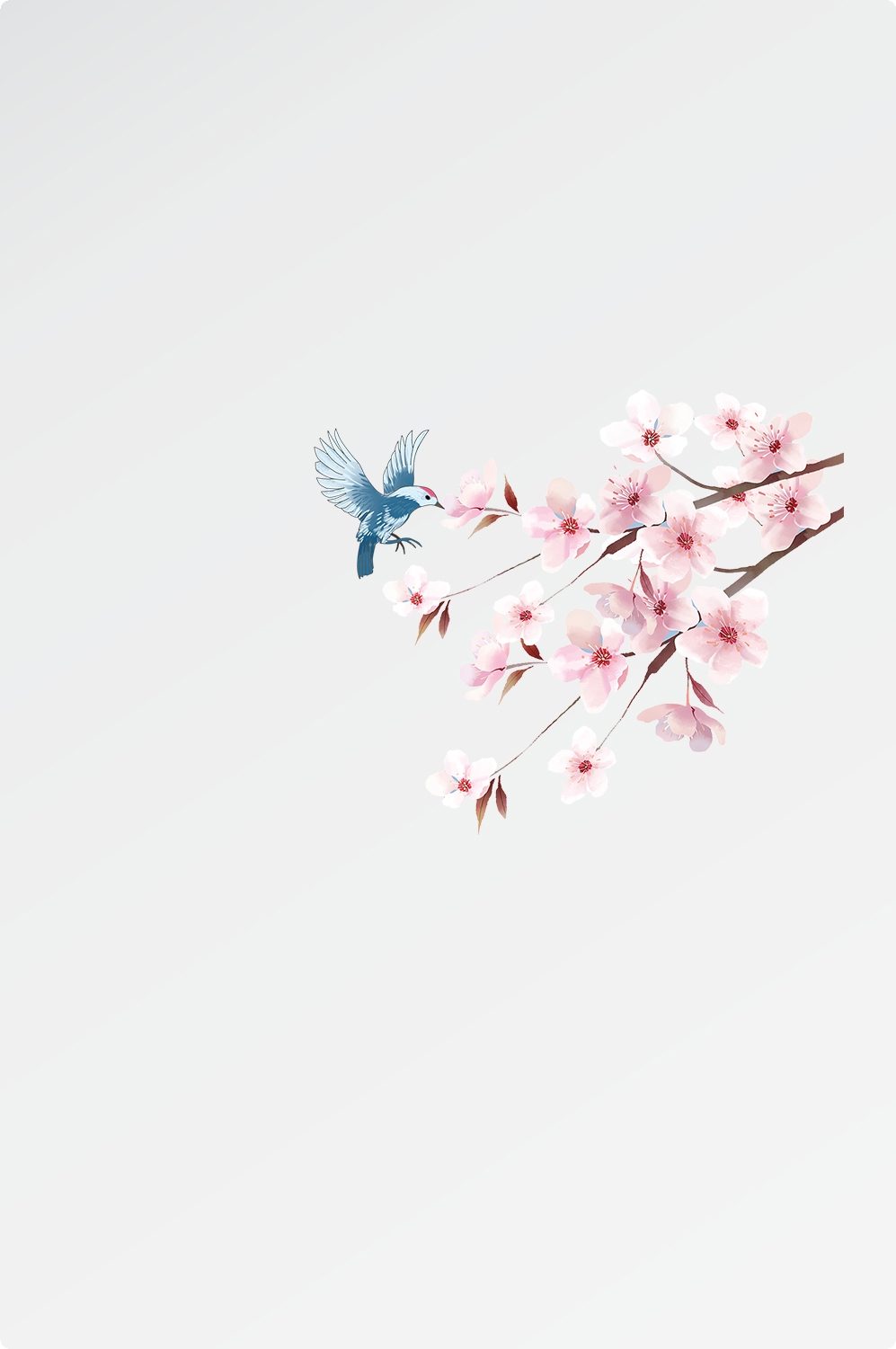 唯美樱花花树花枝樱花飘落图片装饰插图免抠49