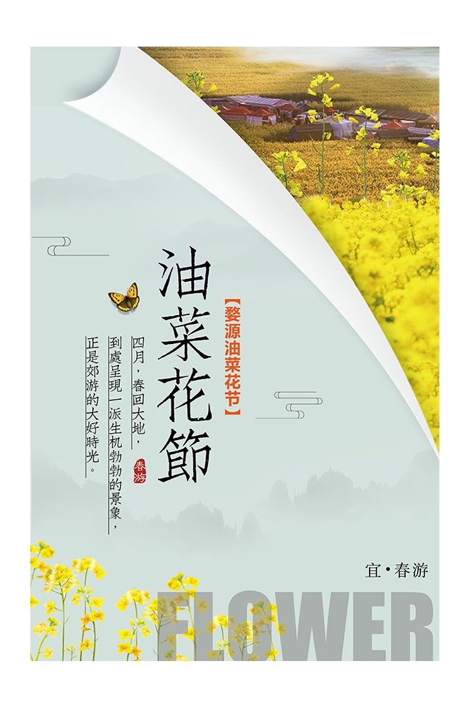 旅游观光PSD海报模板油菜花农田菜地促销宣传单展板 (5)