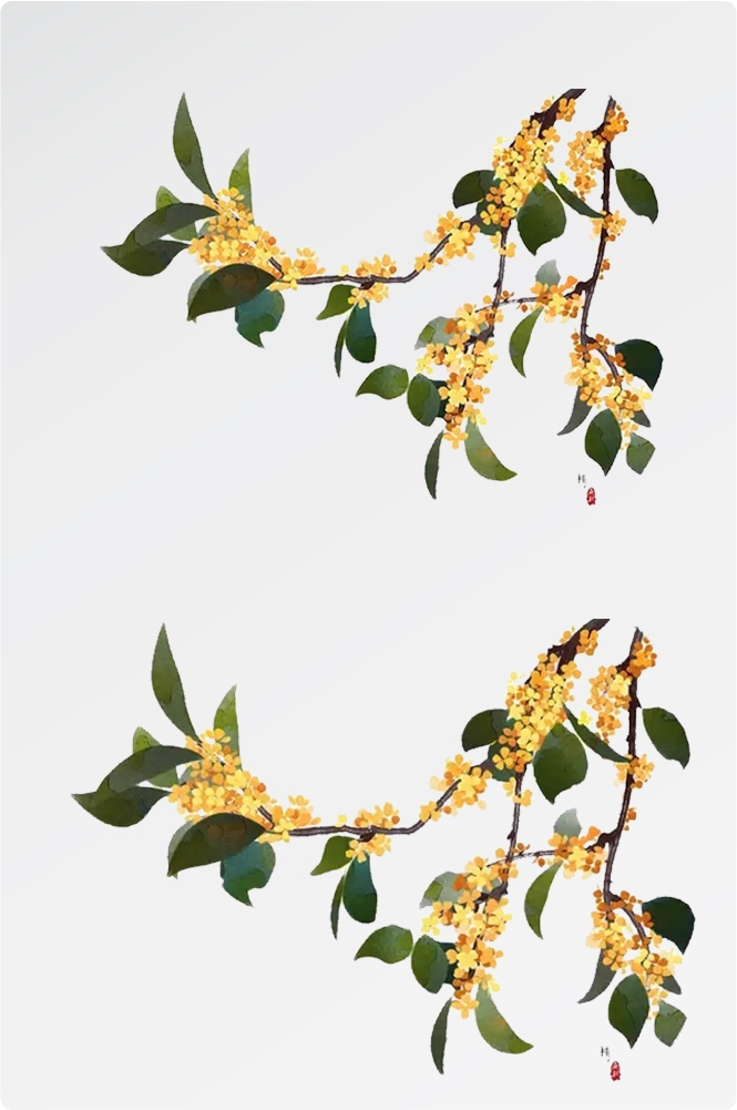 卡通手绘桂花花枝图案素材元素60