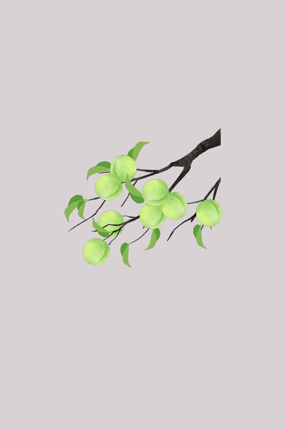卡通手绘水果青梅图案素材图片装饰插画免抠20