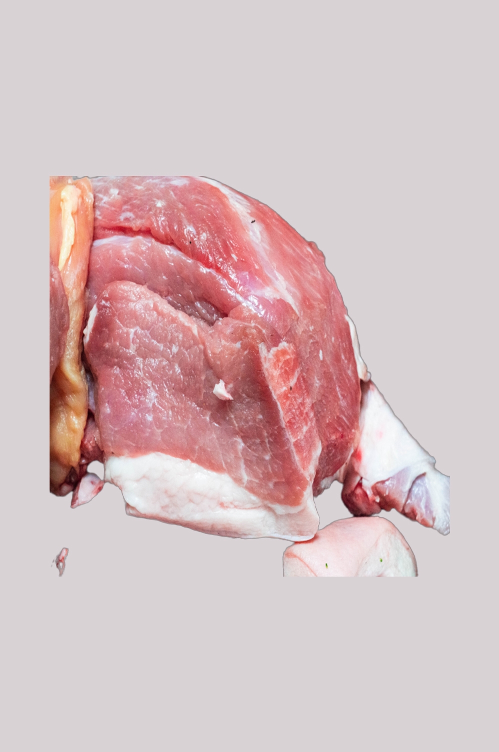 猪肉五花肉瘦肉排骨插画元素免抠素材14
