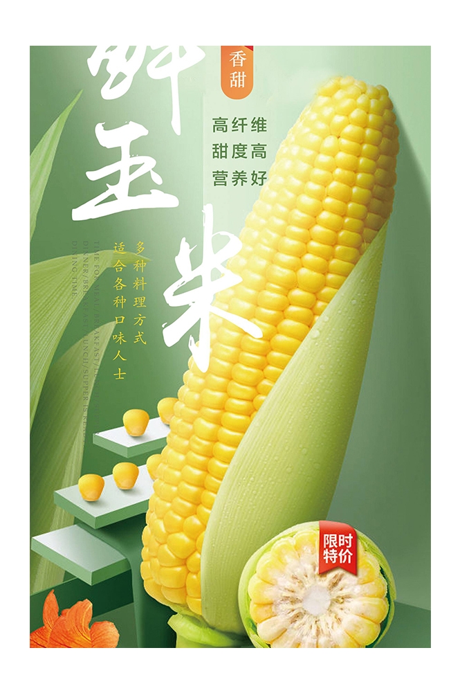 生鲜水果蔬菜店开业打折促销活动海报素材114