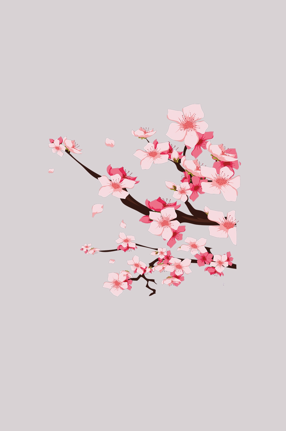 桃花素材图中国风海报设计桃树花枝透明背景51