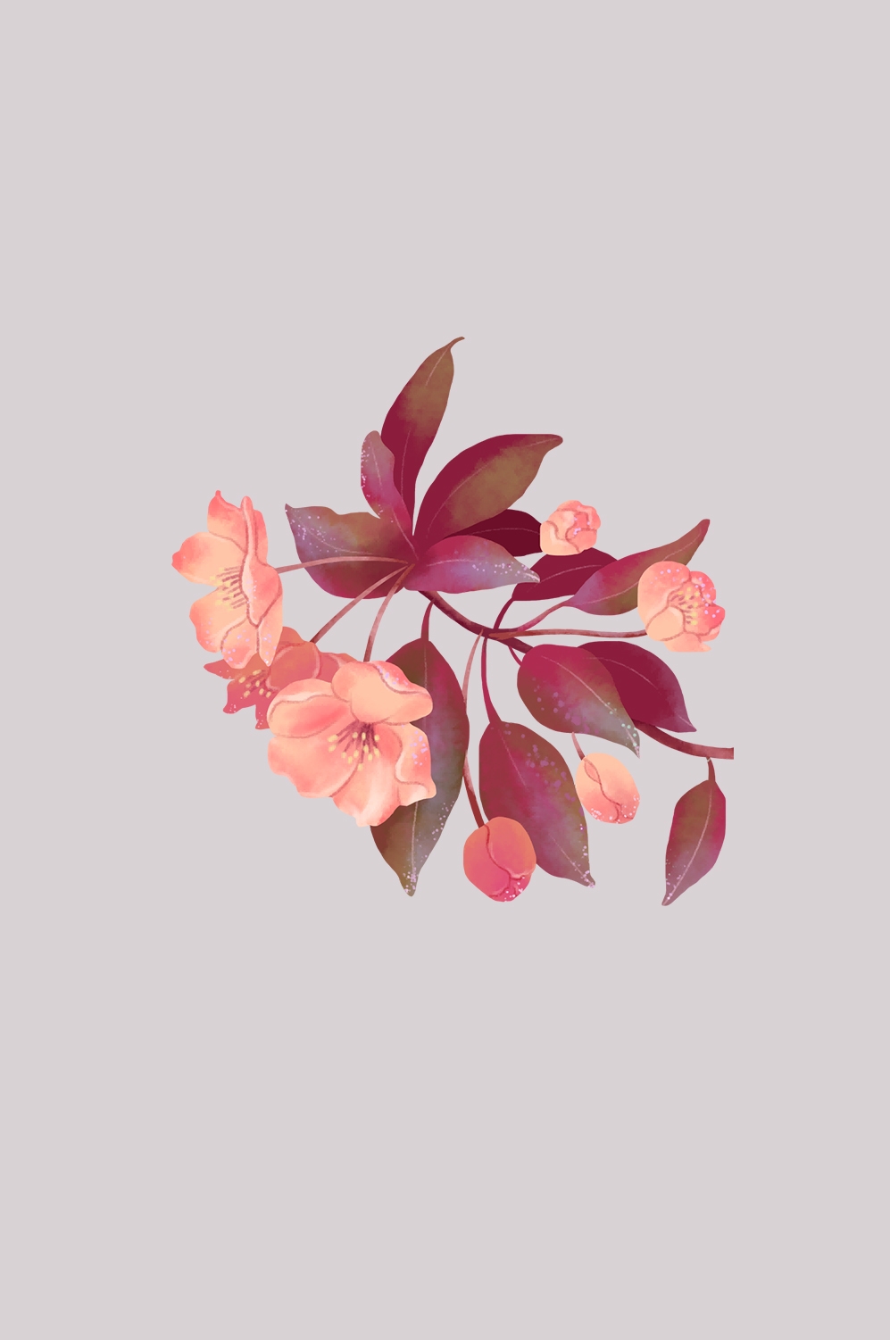 海棠花免抠元素装饰图案插画13